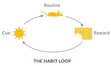 The power of habits